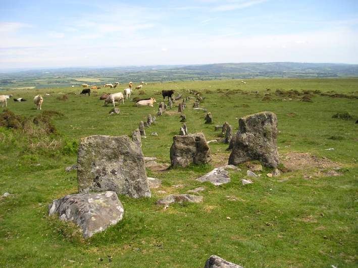 Cosdon Hill Multiple Stone Rows, Dartmoor, Devon SX643917

This is a view looking downhill from the cairn. As usual, the larger stones are near the cairn, and they generally get smaller the further away from the cairn they are, with a few notable exceptions. Each of the rows has a large slab placed across the rows at its end by the cairn.