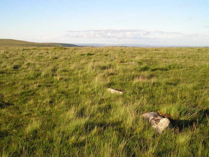 Glasscombe Ball stone row, Dartmoor, Devon SX657604 

The remains of this row would have started at a cairn on top of the ridge and progressed in a south-easterly direction away from it. With all the stones flattened to the ground, the layout of the original row is not easy to determine, but would have been at least 80 metres in length. 