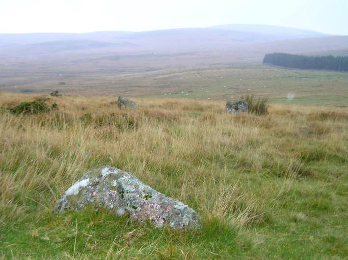 View looking north of the three remaining standing stones. In the middle distance is Scorhill, and on the right horizon is Cosdon Hill