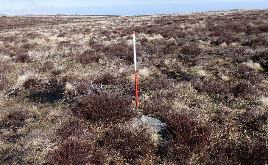View from the south of the eastern stone (Scale 1m). This stone measures 0.90m long by 0.28m wide, stands 0.13m above the ground and is orientated at 155°.