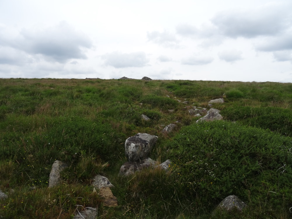 Looking back up to the cairns from the southern side of Rippon Tor, at the jumble of stones that looked like part of a ruined settlement.  The long, larger one, is in the centre foreground.