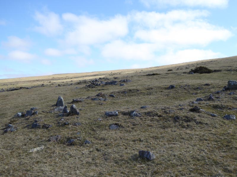 22mar15: Two hut circles. View East, rising slope is Roos Tor.