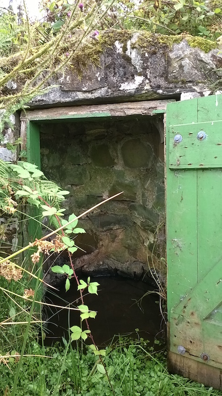 The Holy Well  - Aug 2016