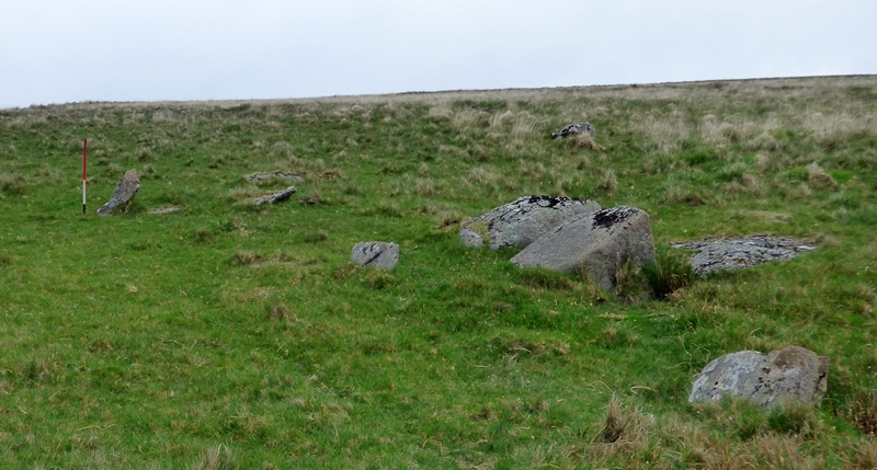 The row passing a granite outcrop. View from south (Scale 1m).