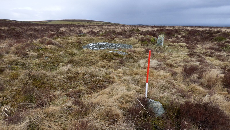 View from the south. Ranging rod stands by the eastern alignment stone and the cairn with large cist is visible beyond. Deep peat deposits in the vicinity have probably overwhelmed other stones (Scale 1m).