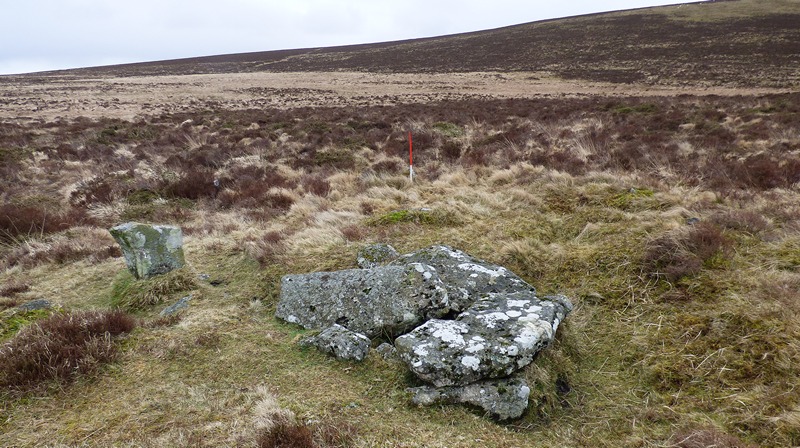 Cist in the foreground, kerb stone on the left and the eastern alignment slab indicated by the ranging rod. View from north (Scale 1m).