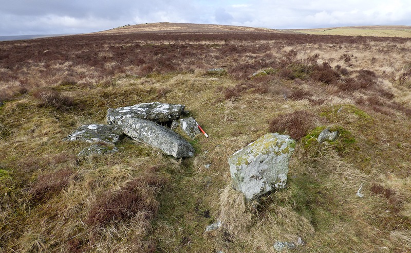 Cist and kerb stone. View from the south east. 