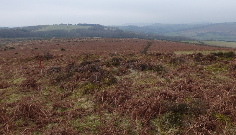 Cairn at the top of the row. The cairn has been truncated by a field boundary ditch. View from the west (Scale 1m).