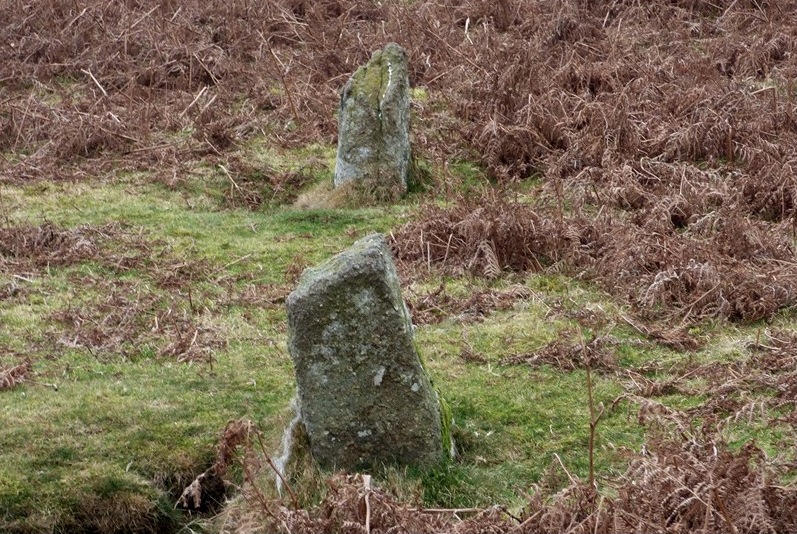 Two stones forming part of the Hameldown stone row. View from east.