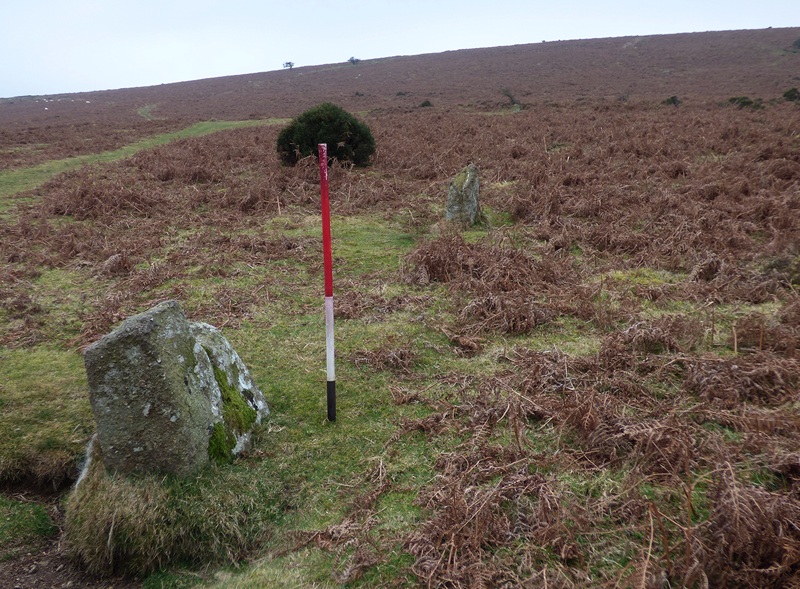 Stone 3 in the foreground and stone 2 in the background. Stone 3 is 0.65m long by 0.27m wide and 52m high. View from east (Scale 1m).
