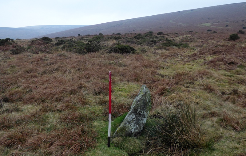Stone 7. Standing stone measuring 0.68m long by 0.28m wide and 0.70m high. View from north east (Scale 1m). 