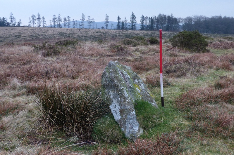 Stone 7. View from the south (Scale 1m). This stone is set at right angles to the alignment of the row and may therefore represent the terminal stone.