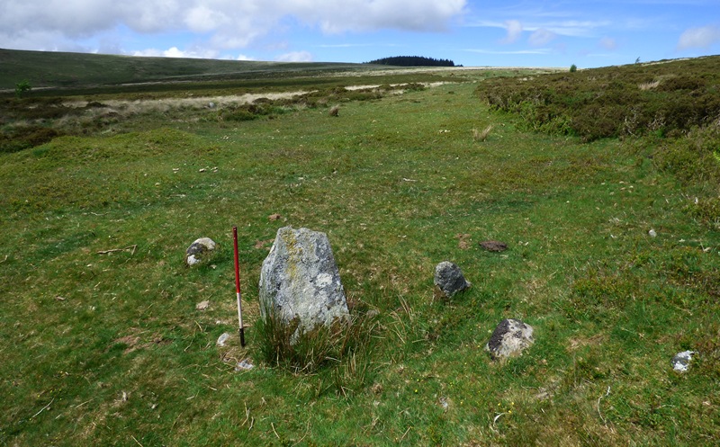 Looking north along the row with the blocking stone in the fore ground (Scale 1m).