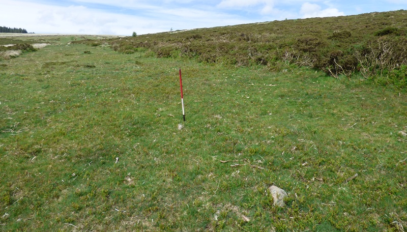 The row is composed mainly of small stones that barely protrude through the surface. View from south (Scale 1m).