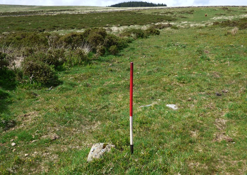 Until recently much of this stone row was hidden by dense gorse. View from south (Scale 1m).  