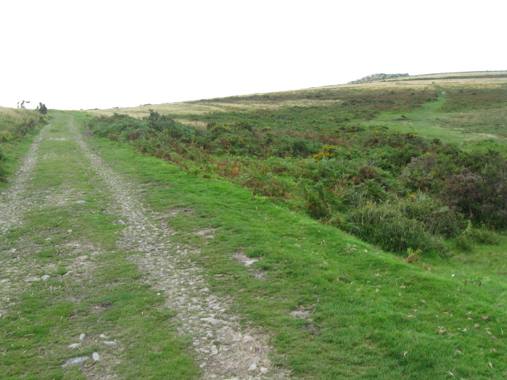 On the stony track that leads from Blackslade Ford to Tunhill, heading WNW to find Blackslade Cairn and Cist (which is found to the right of the track, approx on the crest of this rise), and access the track up to Wittaburrow Cairn to its left. That must be Pil Tor's rocks on the right, and the track between the bracken which I'd come down.