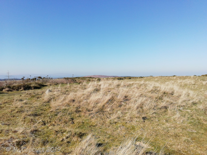 Mardon Down Cairn 3