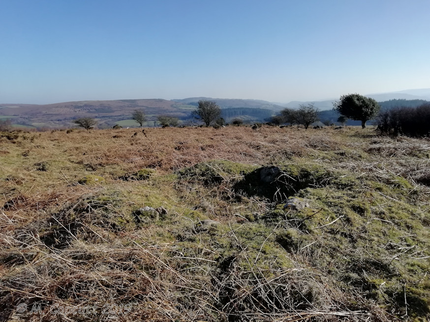 On the top of Butterdon Hill are remains of several cairns. 