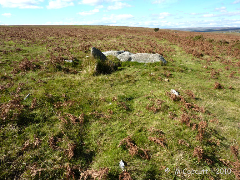 The western, uphill end has two fallen longstones which would have been positions across the ends of each of the southern and central rows, a socket hole being present at the northern row. 

The three rows then run away to the southeast.