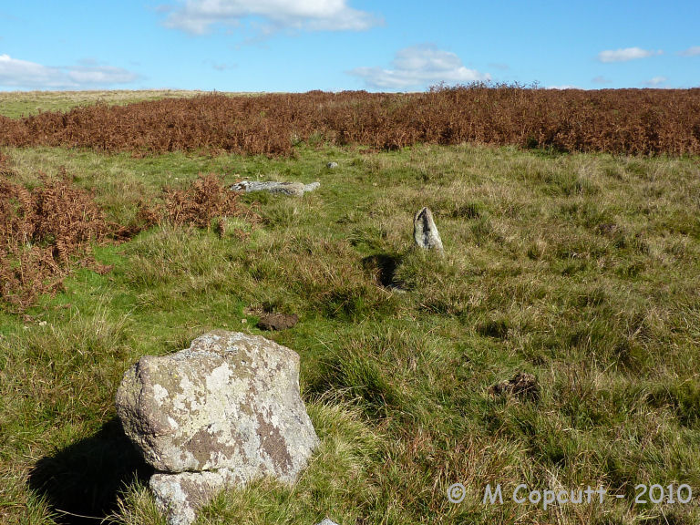 Looking back up towards the cairn, the two nearest stones are in the southern row, while further up on the left can be seen the stones in the northern row. 

