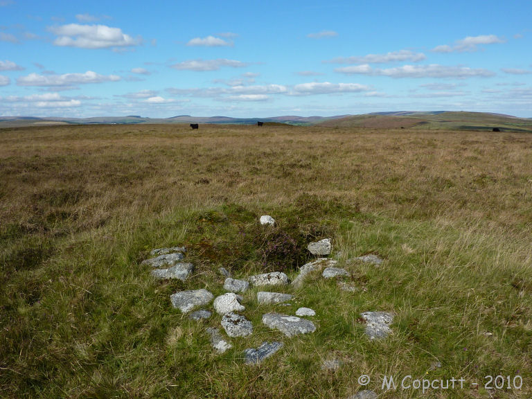 Holne Ridge cairn 7, looking north. 

An excavation trench has been cut from the southern side, and the centre of the cairn is obviously structured with a hollow inside. The excavation was carried out in 1905, so its amazing it survives so well to this day. 