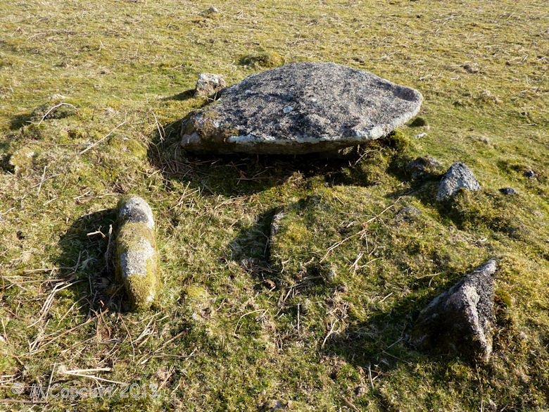 Legis Tor Cairn 2 has its cist still well defined by two side stones; its capstone offset to the south, and much of its encircling kerb still present. 