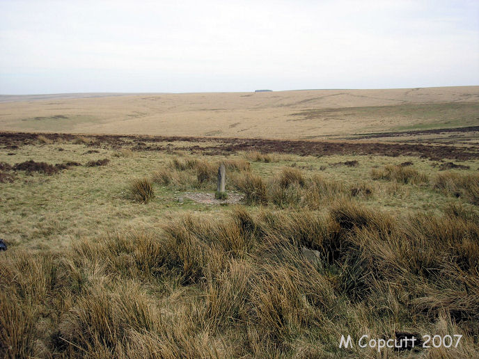 Brendon Two Gates stone setting has three stones in a row, the stones each set about 7 metres apart. 
This is the view looking south from the northern end of the row. 
