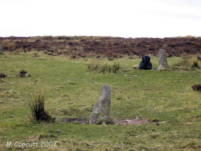 The stones run up the slope, but are not in a straight line, in fact it’s difficult to describe the shape, a sort of lightning flash, or perhaps a sort of very long thin diamond. The southern, downhill three are still standing. 
