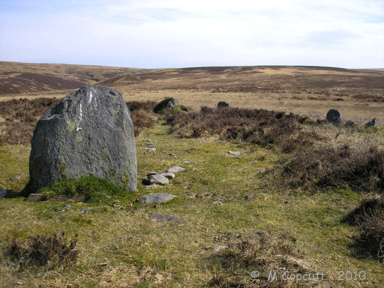 Close inspection reveals the large standing stone to be about 2.5 feet tall, 2 feet wide and about 6” thickness, standing at the inner circumference of an 11 metre diameter ring cairn, made not only with the ring of stone rubble around the outside, but also with several stones remaining of what would have been a nice inner retaining wall. 