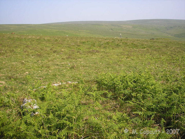 View from cairn 14 towards the east overlooking the upper part of the Drizzlecombe complex. 
In the distance, menhir 2 and the Giant's Basin can be seen.  