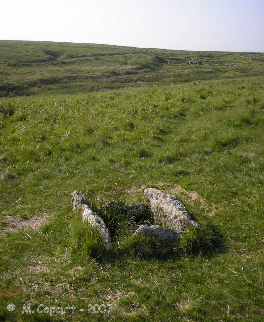 Drizzlecombe cist 21 is a splendid box cist, found further up the Drizzlecombe valley from the main sites, on the eastern side of the stream. 
The remains of the tin workings in this picture should give some clues for finding it.  