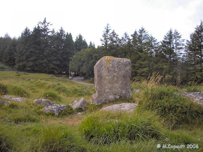 The Heath Stone can be found not far from the road on the way to Fernworthy Reservoir, on the open moor just before you get to the forest. 
 