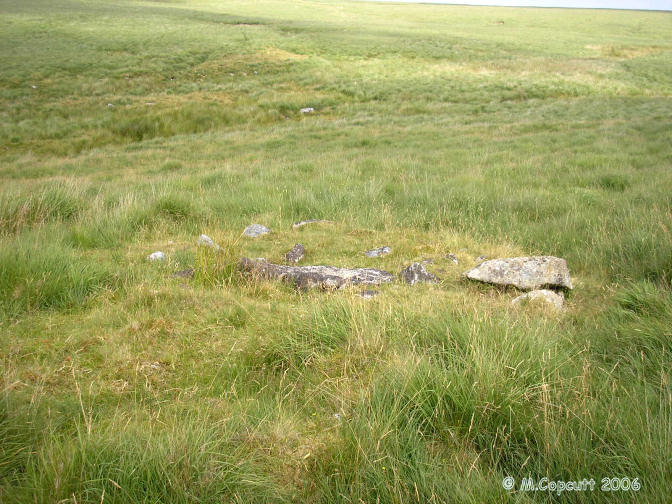 The cairn is about 8 metres in diameter, with remains of a kerb circle to be seen around the outside. 

Three slabs of the central kist are in place, and a capstone covering half of it is still in place. 