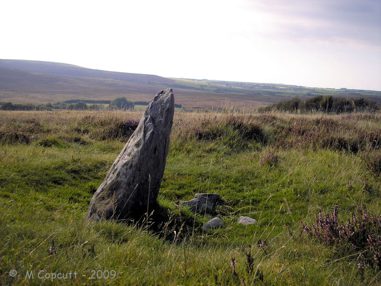 On the slopes of Furzehill Common is a decent stone, 2.5 to 3 feet tall standing proud. 