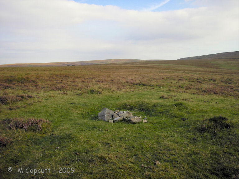 The cairn is in a patch of shortly trimmed grass, and hence easily found. There is a 5 metre diameter raised ring, with a hollow in the centre, which is filled with some large stones, which may or may not be an original feature. 