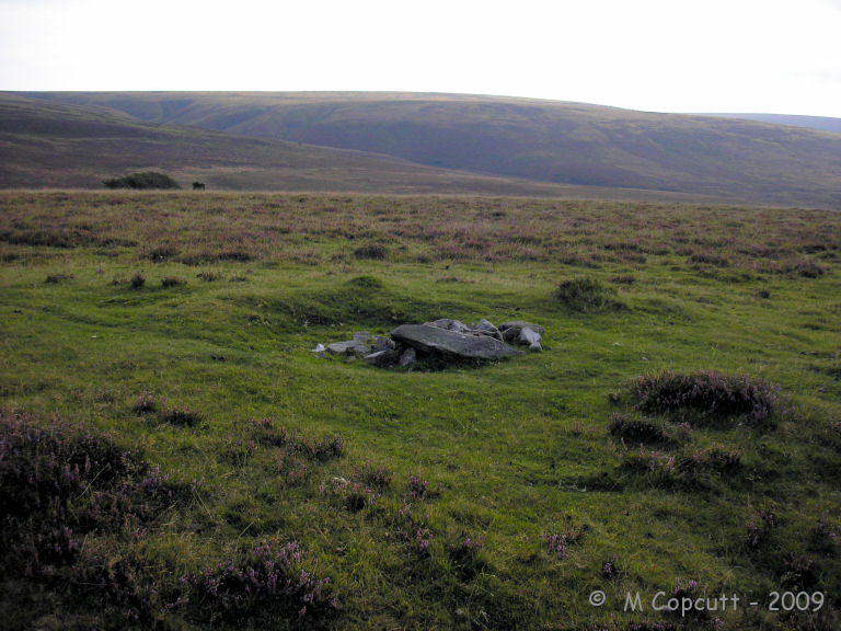The cairn is in a patch of shortly trimmed grass, and hence easily found. There is a 5 metre diameter raised ring, with a hollow in the centre, which is filled with some large stones, which may or may not be an original feature. 