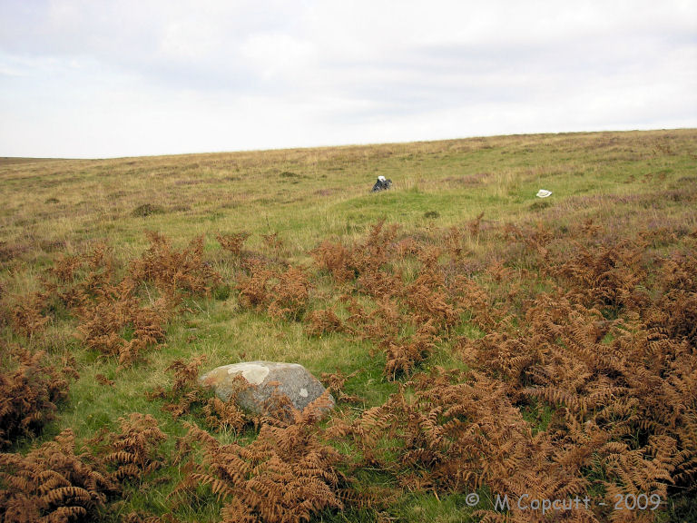On the western slopes of Furzehill Common ridge, I first found a large boulder like stone, and with some further searching around, I found a sort of line of stones running down the side of the hill. 
I found two stones high up the slope which are spaced at about 10 metres from each other, marked here by my hat and bag.
