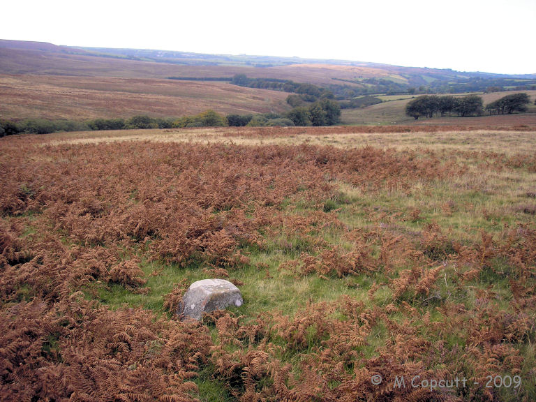 On the western slopes of Furzehill Common ridge, I first found a large boulder like stone, and with some further searching around, I found a sort of line of stones running down the side of the hill. 
View here looking northwest, along the West Lyn valley. 