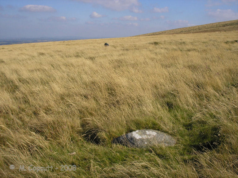 View northeast over the possible Sticklepath stone circle, found on the slopes of Cosdon Hill. 
My bag marks a stone at the eastern side, seen as a dark blob in the sea of long grass. 
That's the hills of Exmoor to be seen in the faint distance. 