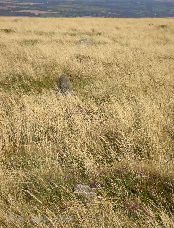 Three stones in the northwestern arc of the possible Sticklepath stone circle, found on the slopes of Cosdon Hill. 