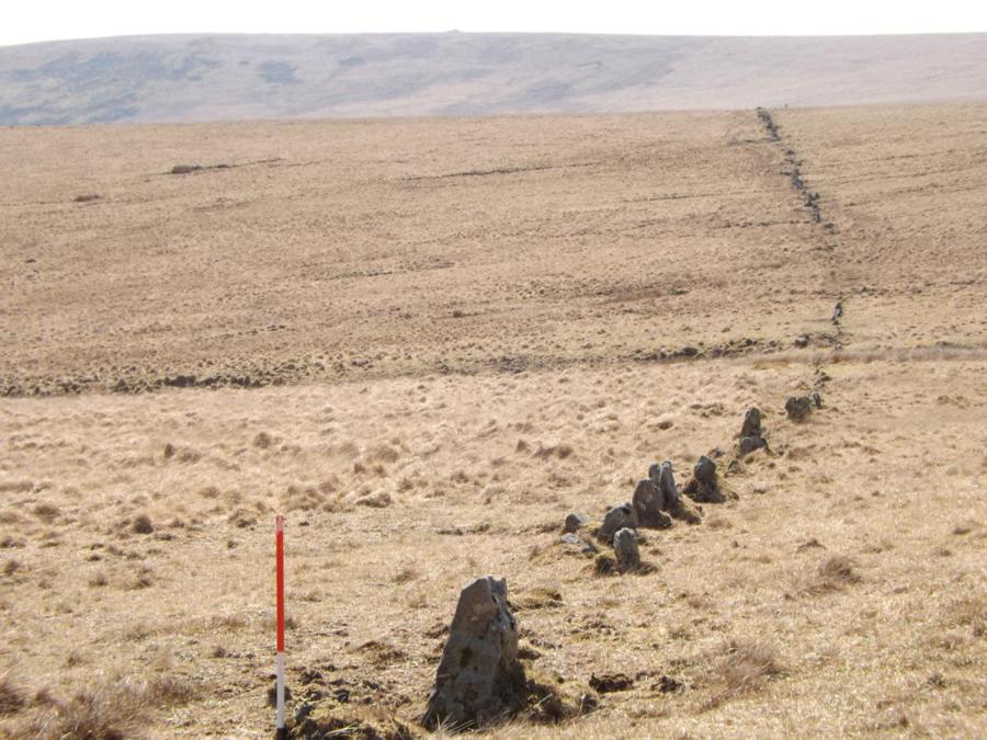 The Upper Erme stone row curving towards its southern end. Most of the Dartmoor rows are not straight although this one does meander across the landscape rather more than most.