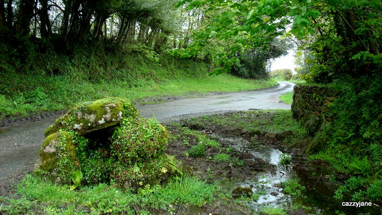Druid's Well, In a rather vunerable position at the side of the road.  This little well is still standing, despite Terry Faull saying in his book 'Secrets of the Hidden Source' that it was in danger of collapse after being hit by a vehicle.