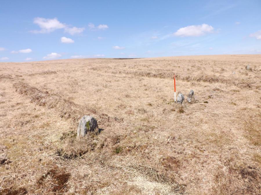 Stones within an area where the turf has been removed. Their survival illustrates that the historic turf cutters respected the row which would have been visible before they commenced their work. The peat is actually rather shallow and indicates that many of the stones are indeed very small.