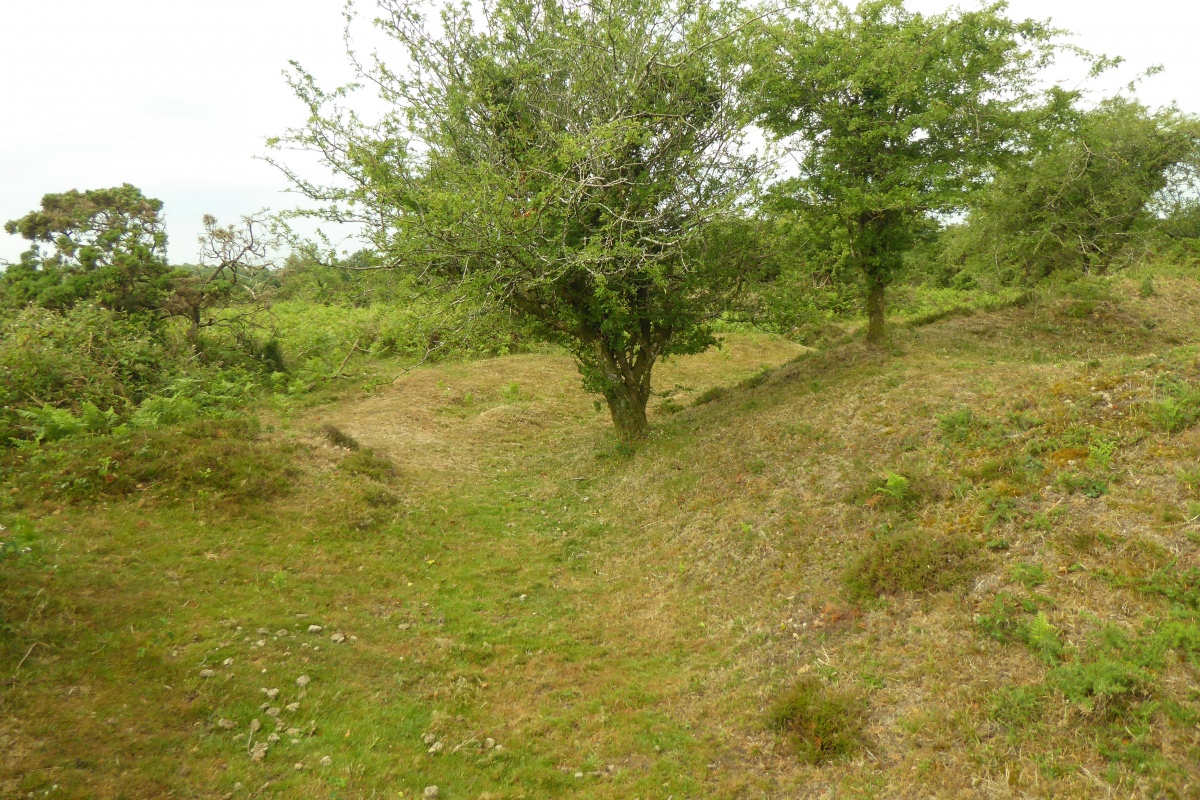 Second Roborough Down Earthwork. Showing part of the inner wall (right), and the possible outer circle (left)