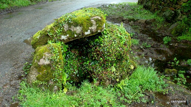 Chagford Druid's Well