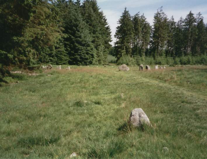 Fernworthy stone row SW