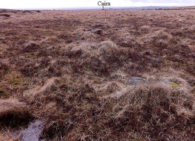 Every single stone within the Glasscombe Ball, North alignment is recumbent. This implies that the stones have been systematically felled or were poorly erected in the first place. View from the north east (Scale 1m), showing the cairn at the south eastern end of the row. See the Stone Rows of Great Britain's entry for Glasscombe Ball, North.