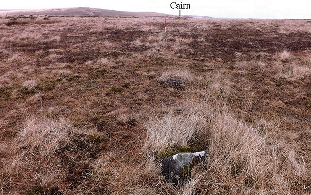 Stones forming a sinuous line leading towards a cairn at the north eastern end of the row. It is unclear whether this row was originally of the single or double type. Many stones may be buried beneath the peat. View from south west (Scale 1m). From the Stone Rows of Great Britain's entry for Glasscombe Ball, North.