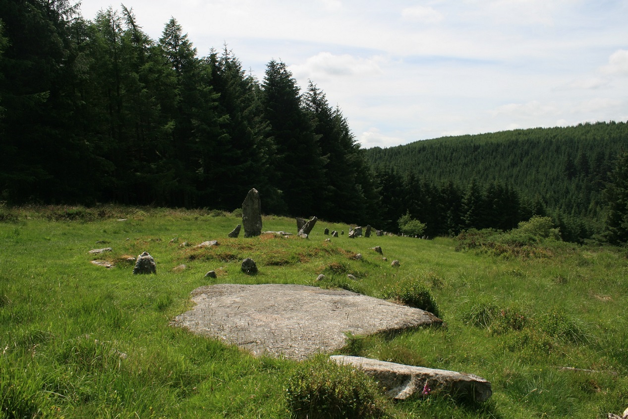 The cairn circle and loads of stones shooting off down hill. Is the big flat stone supposed to be doing something? standing up? covering a cist? too big surely?