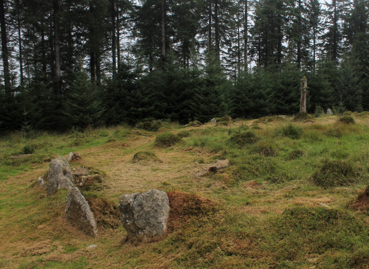 Across the forestry track there is a large oval stone circle which I presumed to be the remains of a pound or something.